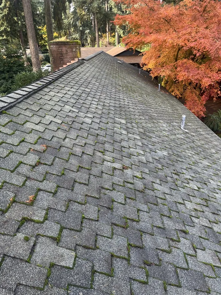 Professional lawn mowing service in Hillsboro, OR - Wolves Landscaping Maintenance