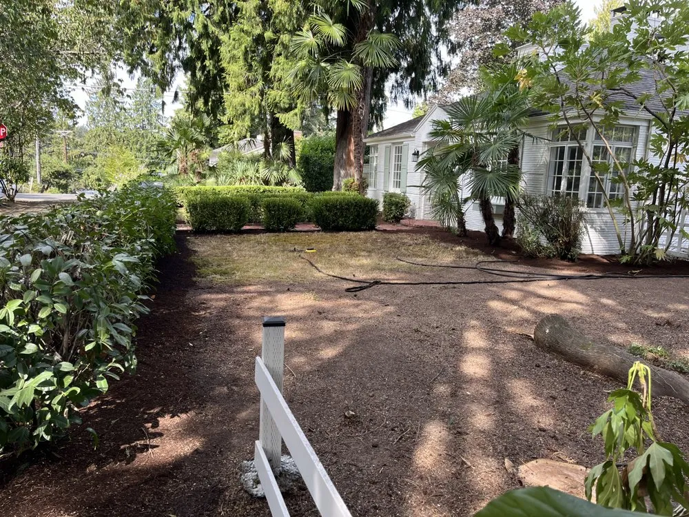 Affordable yard cleanup service in Hillsboro, OR - Wolves Landscaping Maintenance