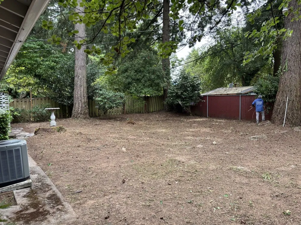 Local yard cleanup service for homes across Hillsboro, OR - Wolves Landscaping Maintenance