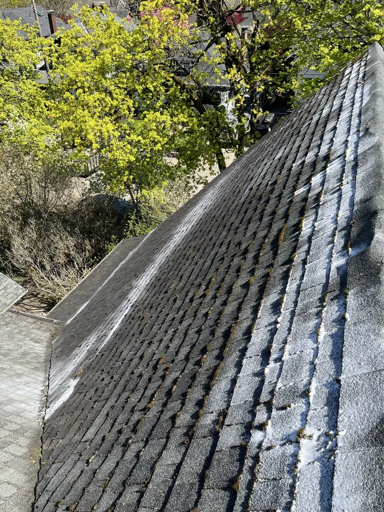 Custom garden landscaping for year-round maintenance across Hillsboro, OR - Wolves Landscaping Maintenance