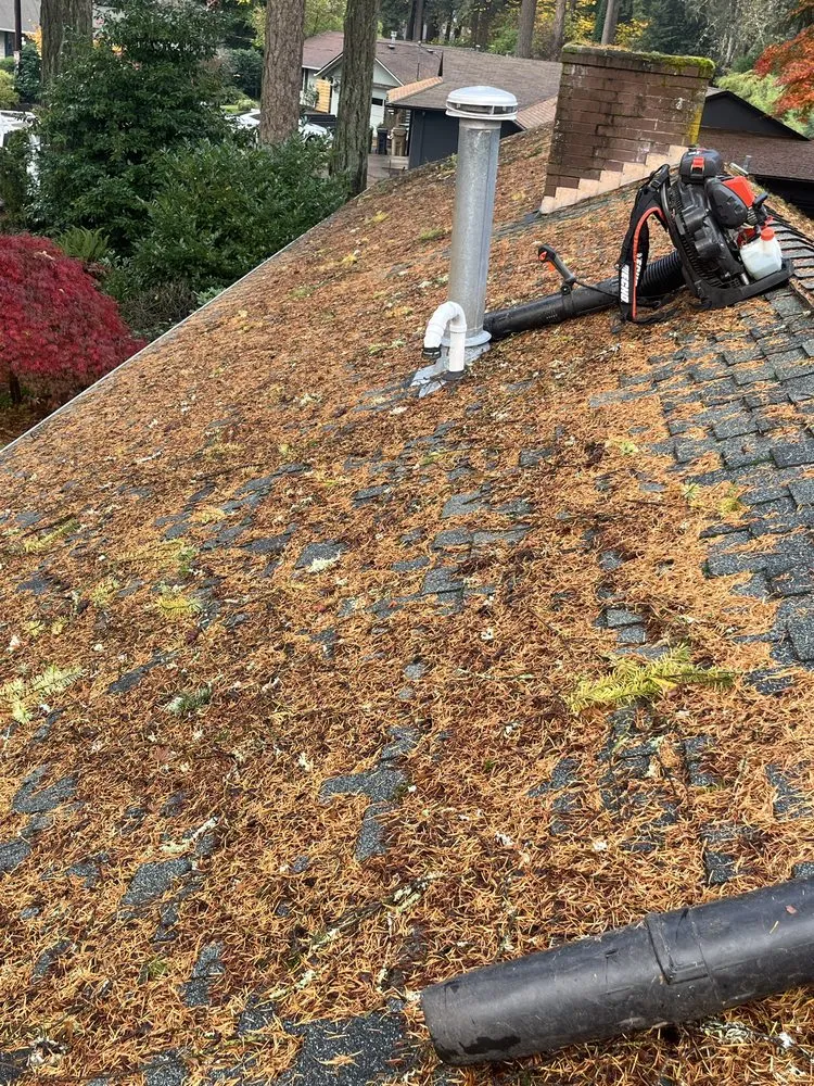 Trusted garden landscaping for year-round maintenance in Hillsboro, OR by Wolves Landscaping Maintenance