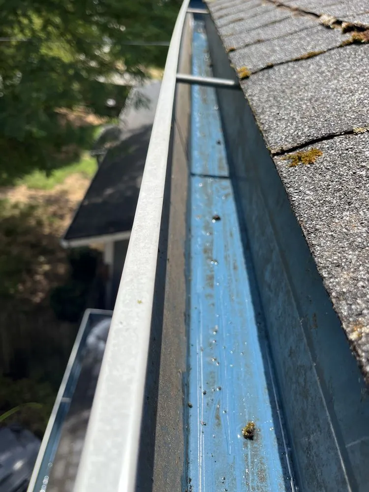 Reliable lawn mowing service for homes in Hillsboro, OR by Wolves Landscaping Maintenance