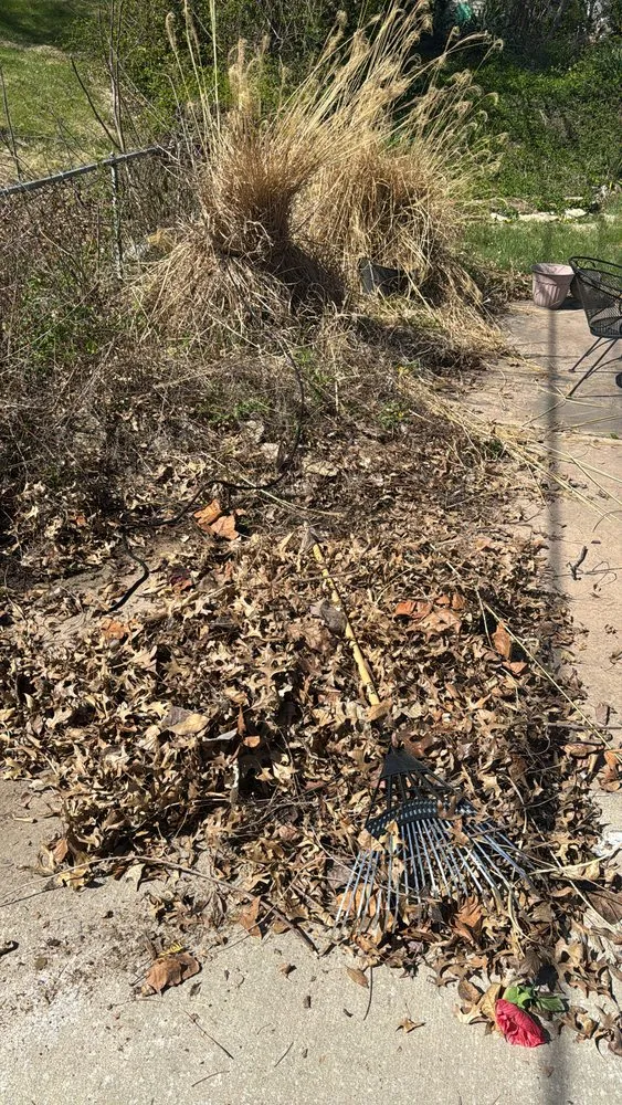 Custom residential landscaping in Independence, MO by Wolves of Landcaping