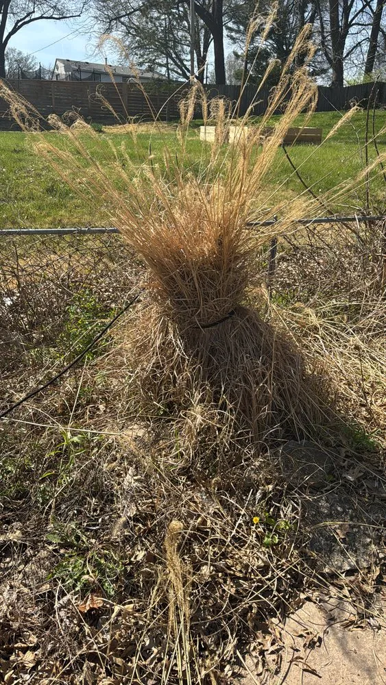 Local yard cleanup service in Independence, MO - Wolves of Landcaping