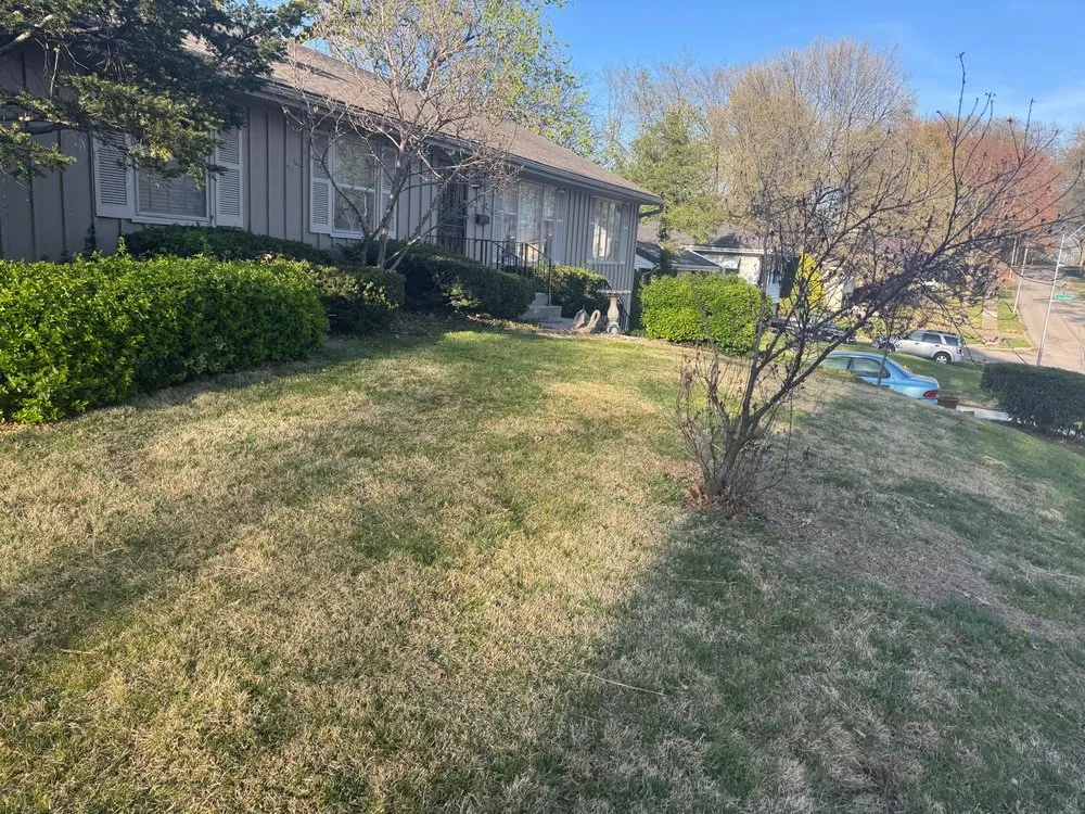 Local yard maintenance experts serving Independence, MO - Wolves of Landcaping