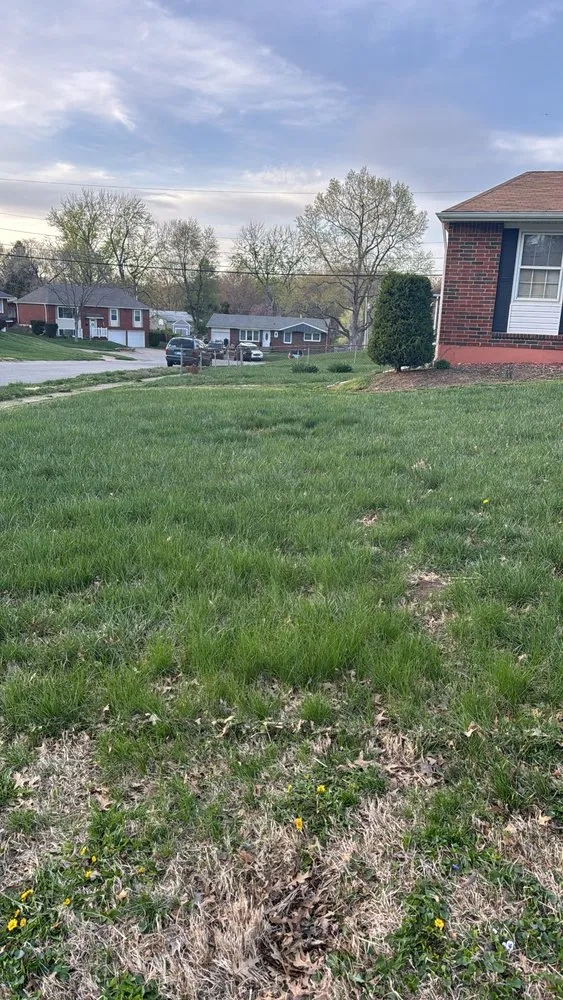 Professional garden landscaping in Independence, MO by Wolves of Landcaping