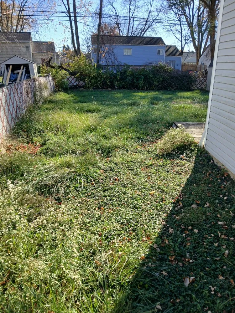 Trusted yard cleanup service with custom design in Canal Winchester, OH by Womack's Skilled Trades