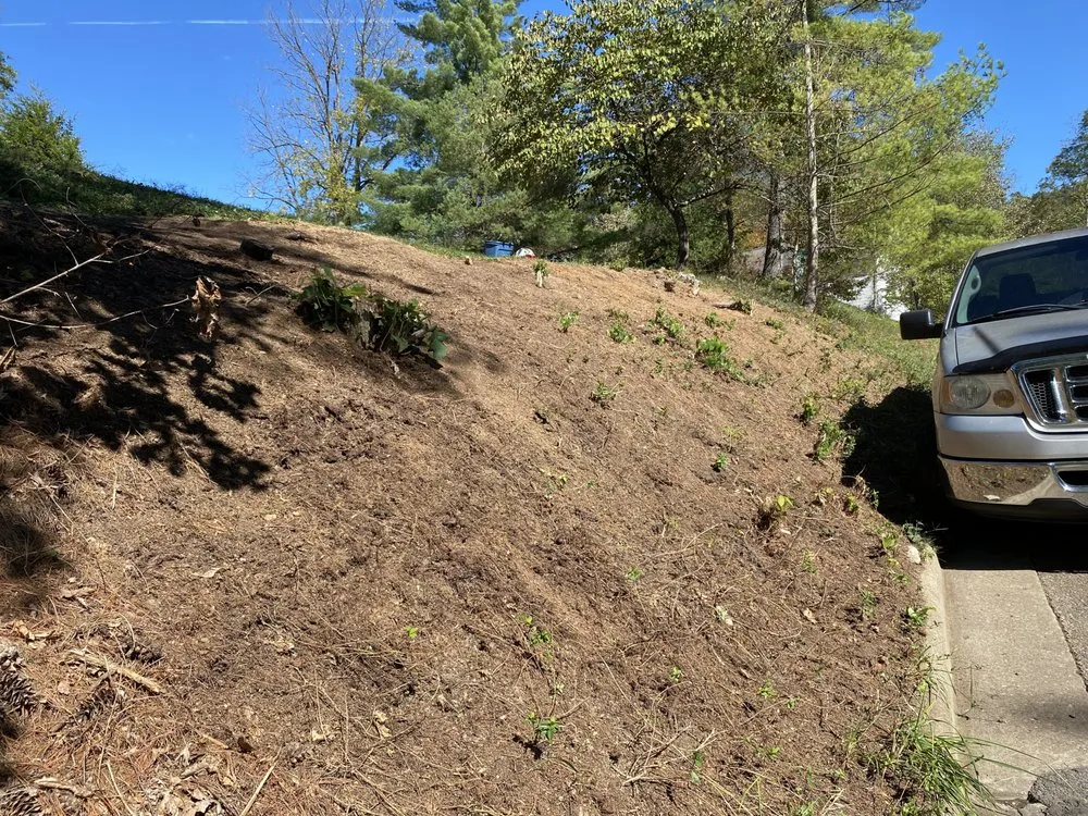 Custom outdoor landscaping in Albany, OH by Woman’s Tree Trimming Cutting Down Trees and Landscaping