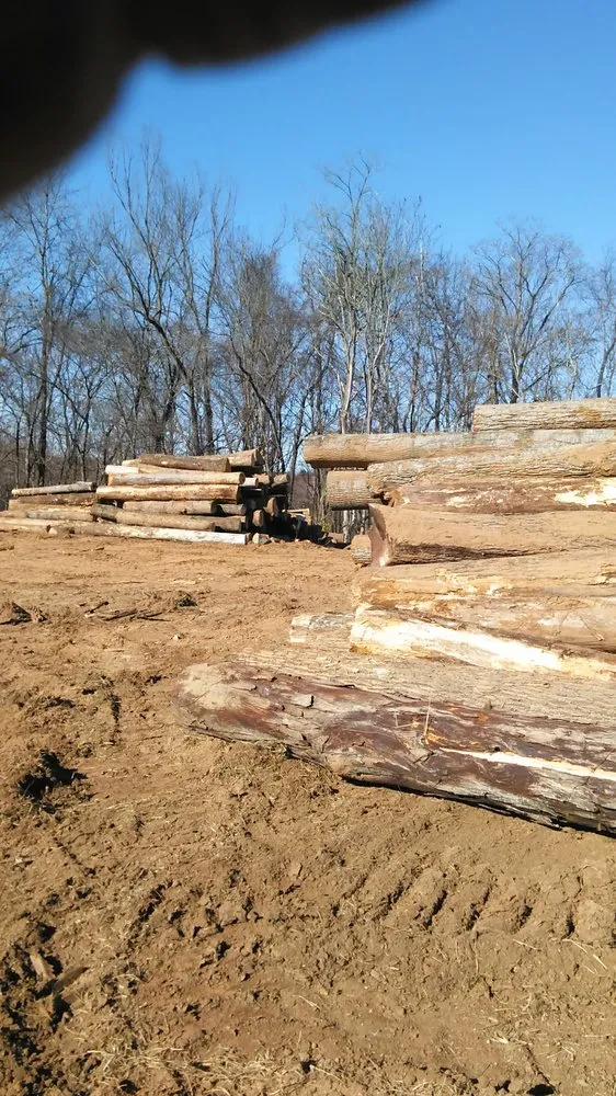 Trusted outdoor landscaping for outdoor upgrades across Albany, OH - Woman’s Tree Trimming Cutting Down Trees and Landscaping