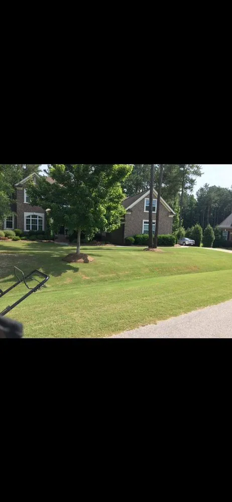 Affordable lawn mowing service near you across Wake Forest, NC - Wonder Landscaping