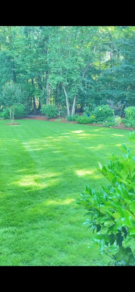 Trusted outdoor landscaping near you across Wake Forest, NC - Wonder Landscaping