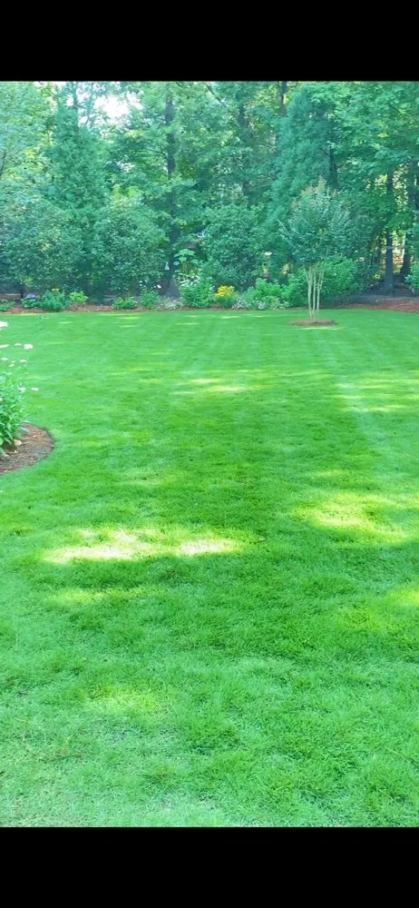 Local residential landscaping in Wake Forest, NC by Wonder Landscaping