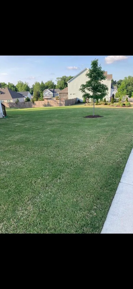 Trusted garden landscaping in Wake Forest, NC by Wonder Landscaping