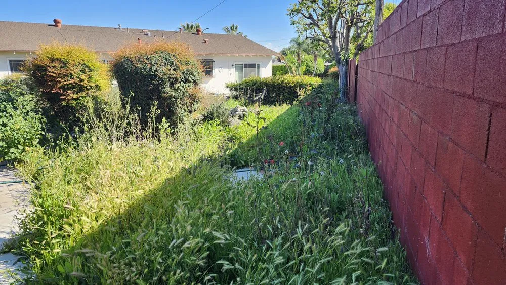 Affordable landscape design near you in Twentynine Palms, CA by Wonder Valley Landscape