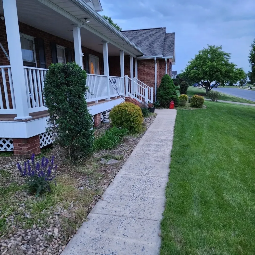 Top-rated yard cleanup service in Stafford, VA - Wonder Wash Exterior Cleaning