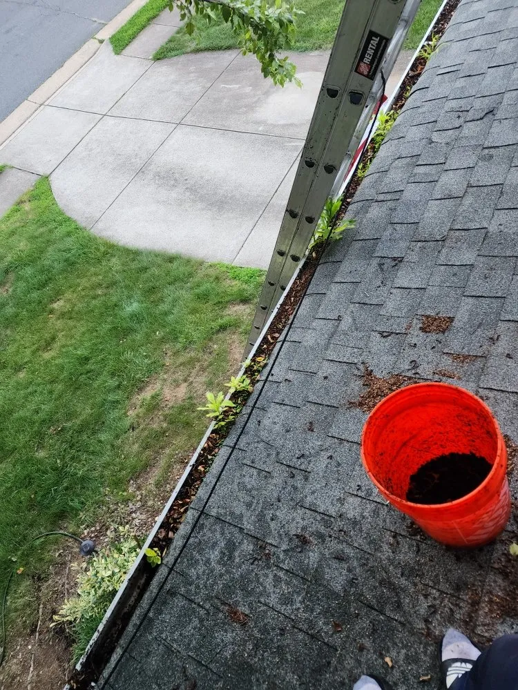 Local landscaping services in Stafford, VA by Wonder Wash Exterior Cleaning