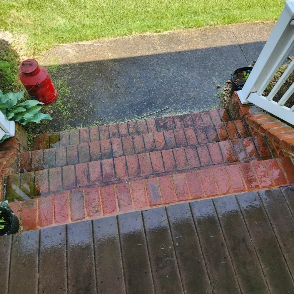 Top-rated yard maintenance in Stafford, VA - Wonder Wash Exterior Cleaning