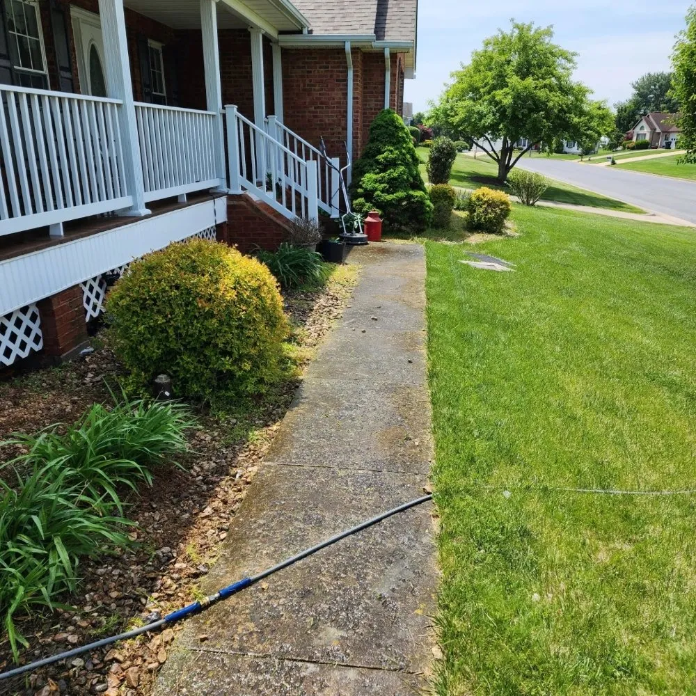 Professional lawn care service in Stafford, VA - Wonder Wash Exterior Cleaning