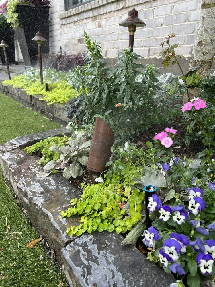 Expert lawn care service in Houston, TX - Wonderful Design Landscaping