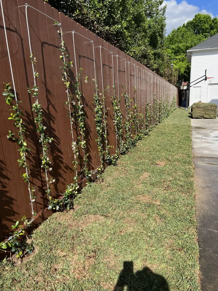 Custom outdoor landscaping experts serving Houston, TX - Wonderful Design Landscaping