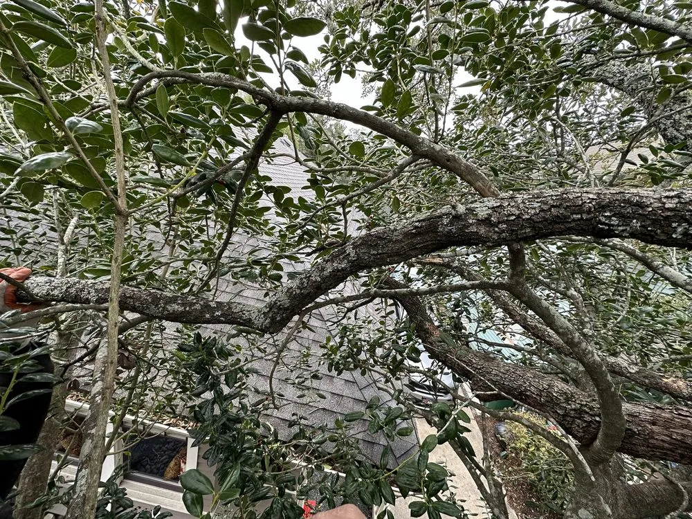 Local outdoor landscaping for homes in Houston, TX by Wonderful Design Landscaping