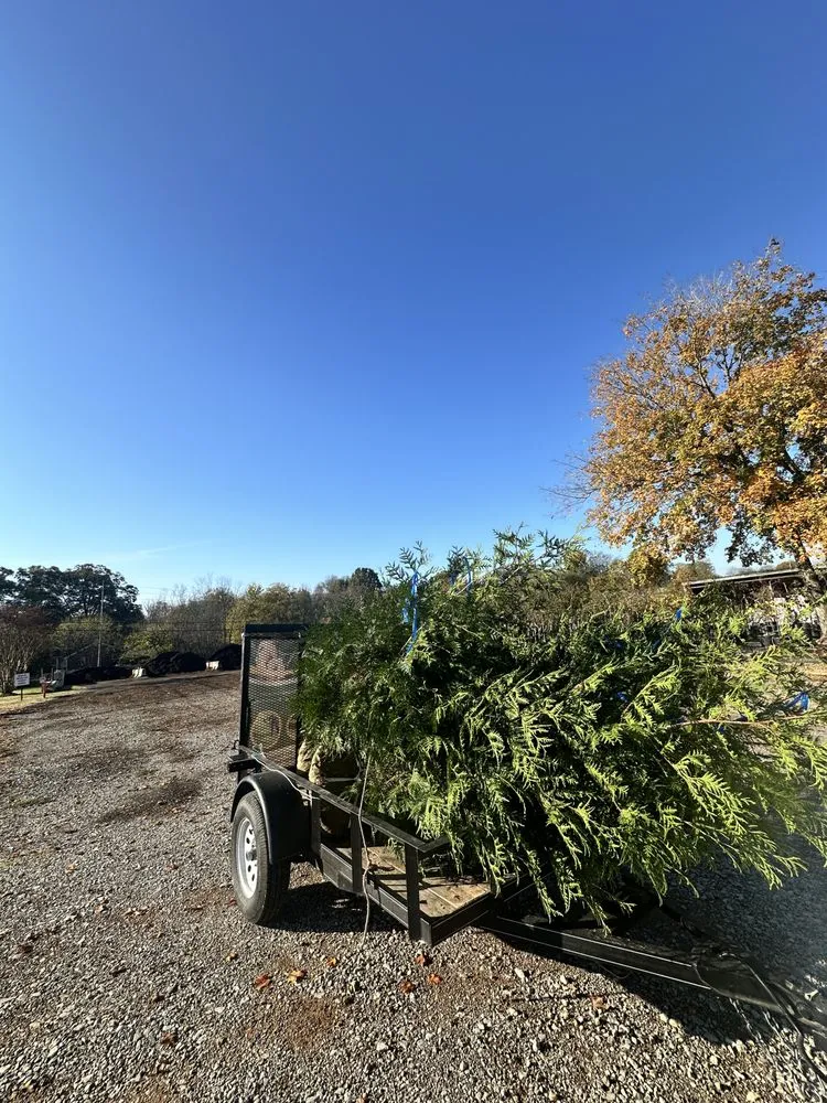 Top-rated garden landscaping with custom design across Nashville, TN - Wonderful Landscape