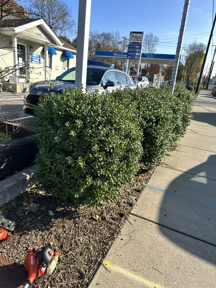 Reliable outdoor landscaping with custom design in Nashville, TN by Wonderful Landscape