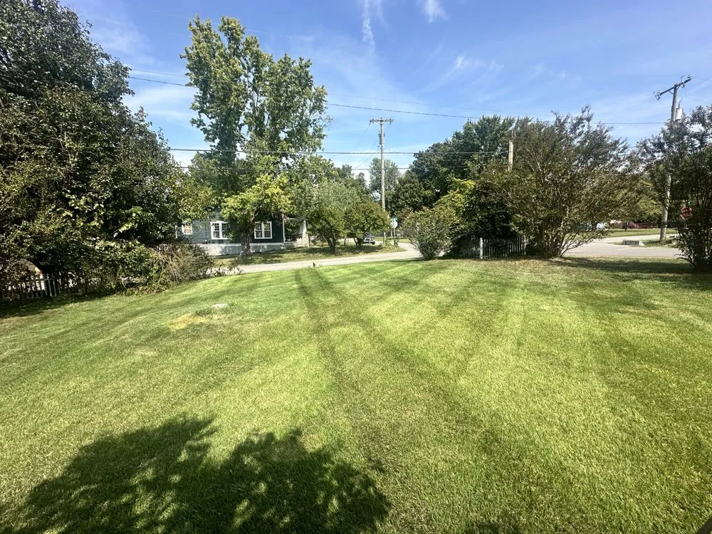 Affordable lawn care service in Nashville, TN by Wonderful Landscape