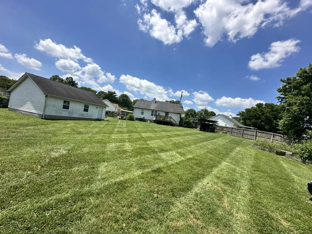 Affordable lawn care service for beautiful yards in Nashville, TN by Wonderful Landscape