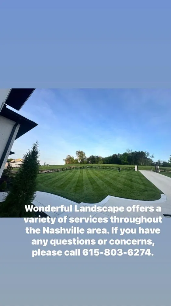 Expert yard cleanup service in Nashville, TN - Wonderful Landscape