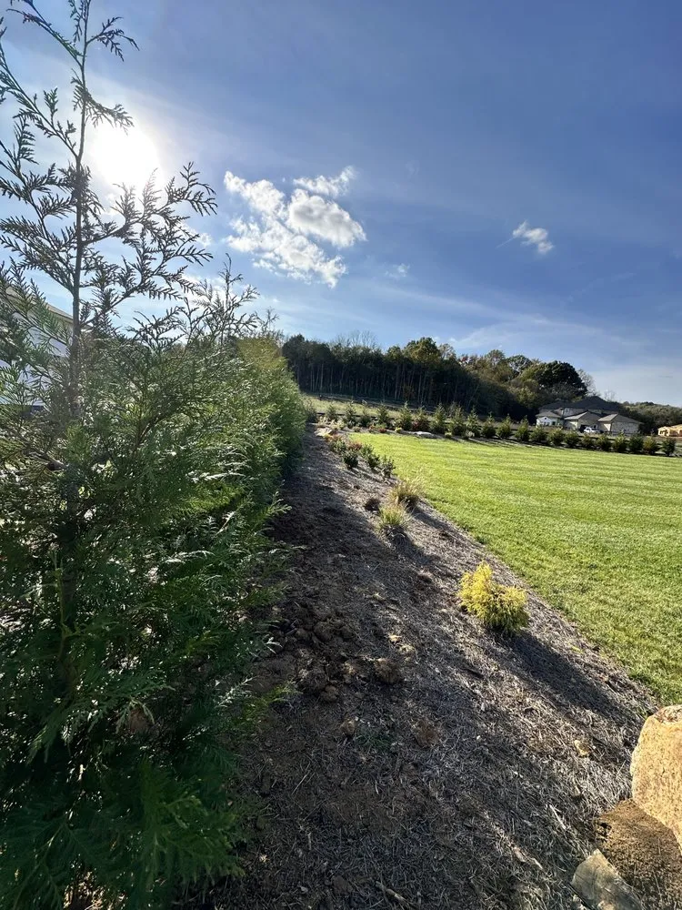 Reliable landscape design experts serving Nashville, TN - Wonderful Landscape