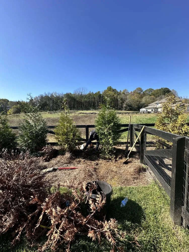 Top-rated residential landscaping experts serving Nashville, TN - Wonderful Landscape