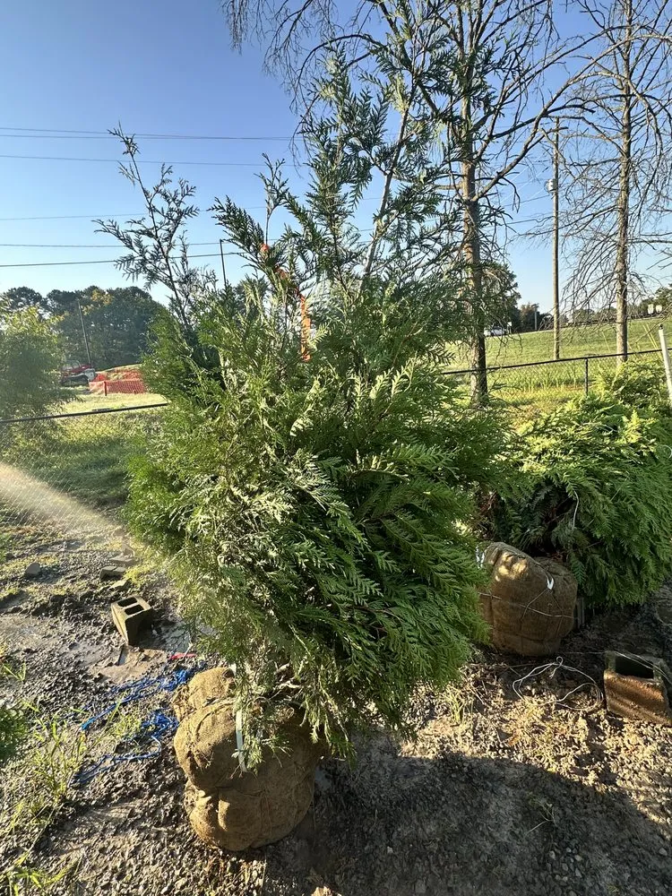 Top-rated outdoor landscaping in Nashville, TN - Wonderful Landscape