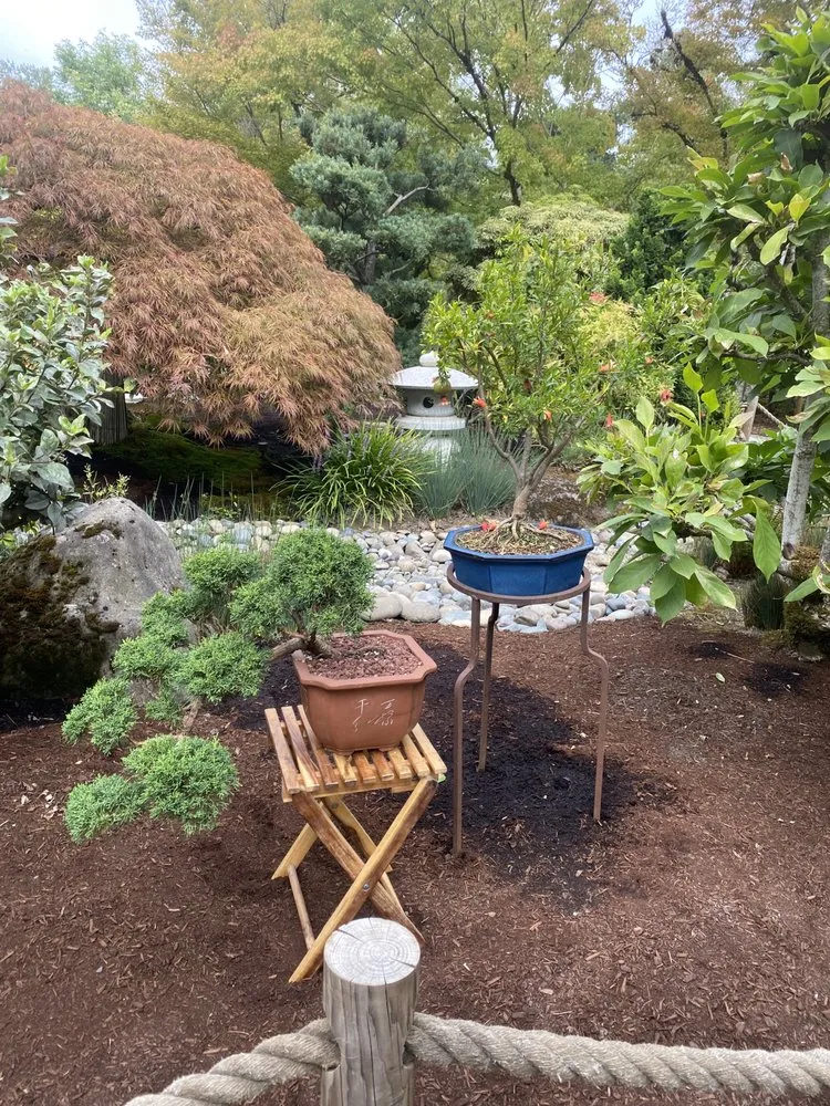 Expert garden landscaping for outdoor upgrades across Bellevue, WA - Wonderful Planting & Pruning