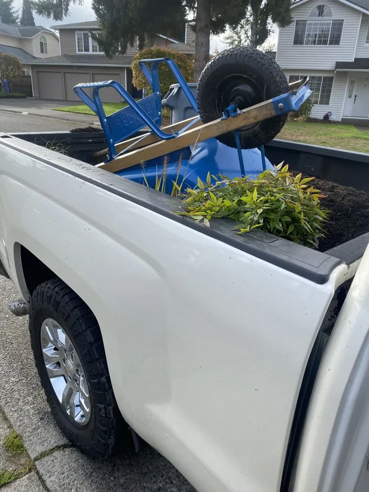 Professional landscaping services experts serving Bellevue, WA - Wonderful Planting & Pruning