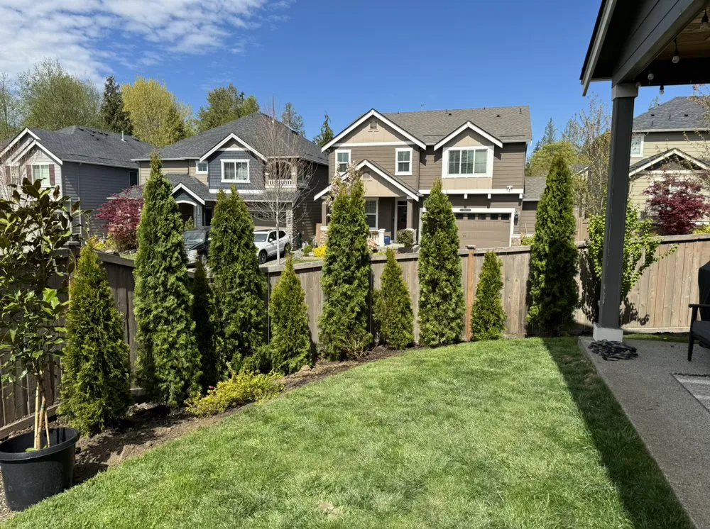 Expert landscape design in Bellevue, WA by Wonderful Planting & Pruning