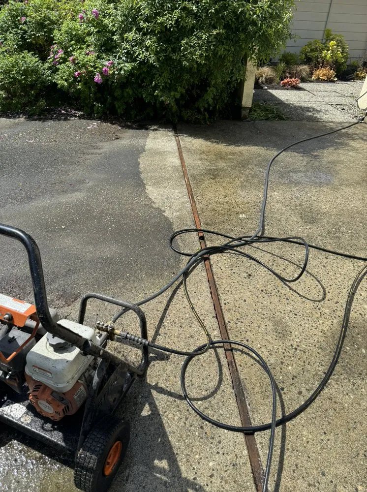 Top-rated lawn mowing service experts serving Bellevue, WA - Wonderful Planting & Pruning