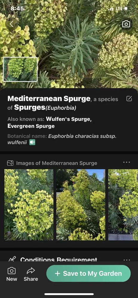 Reliable landscaping services near you across Bellevue, WA - Wonderful Planting & Pruning