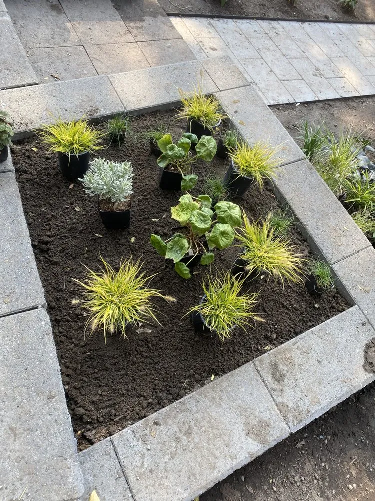 Custom yard cleanup service near you across Bellevue, WA - Wonderful Planting & Pruning