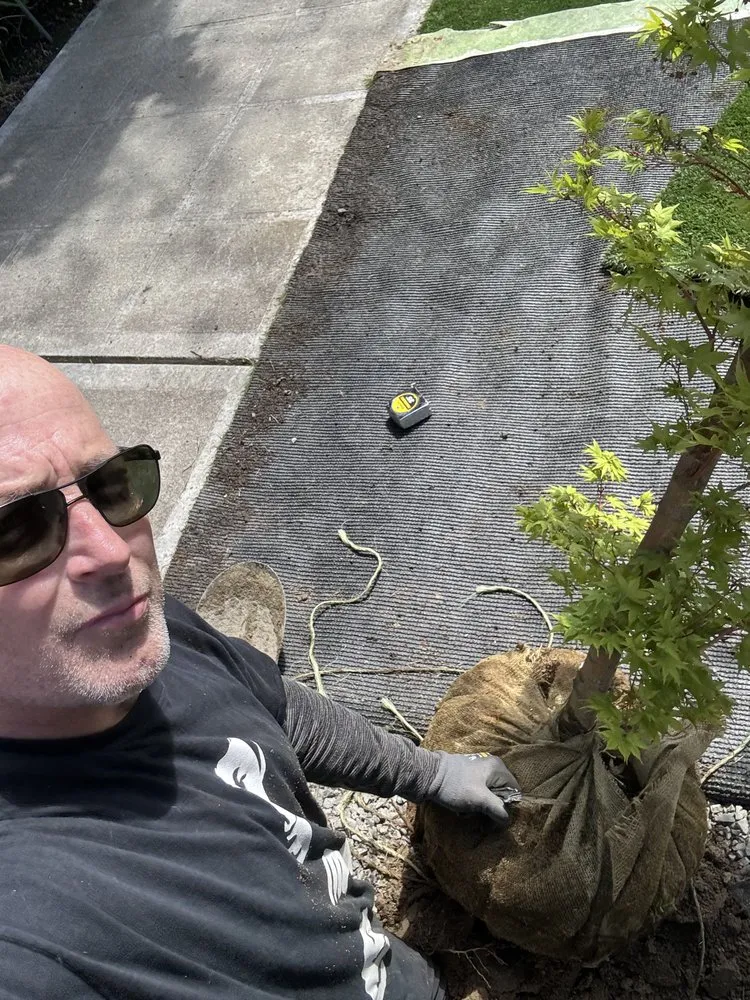 Trusted lawn mowing service for homes across Bellevue, WA - Wonderful Planting & Pruning