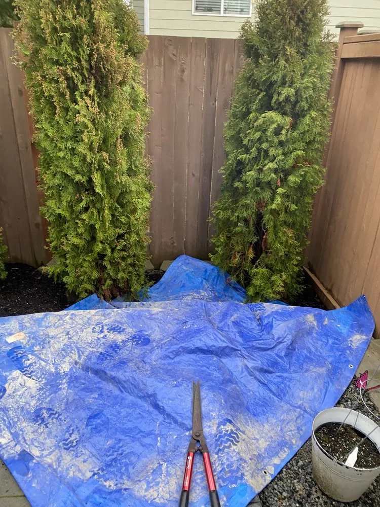 Trusted lawn mowing service for residential properties in Bellevue, WA by Wonderful Planting & Pruning