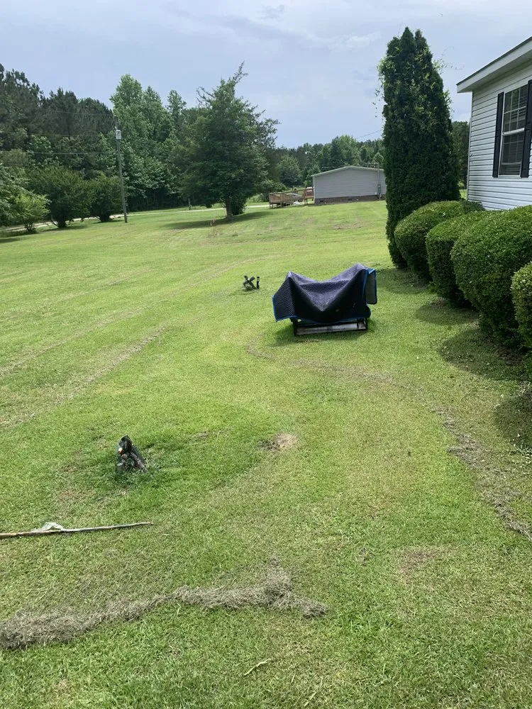 Affordable garden landscaping in Jacksonville, NC - Wonderful Sunshine Absolute Cleaning Service