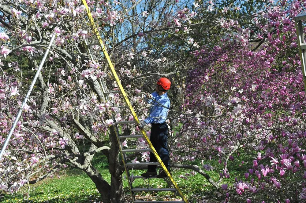 Custom landscape installation with custom design across Oyster Bay, NY - Wonderland Tree Care