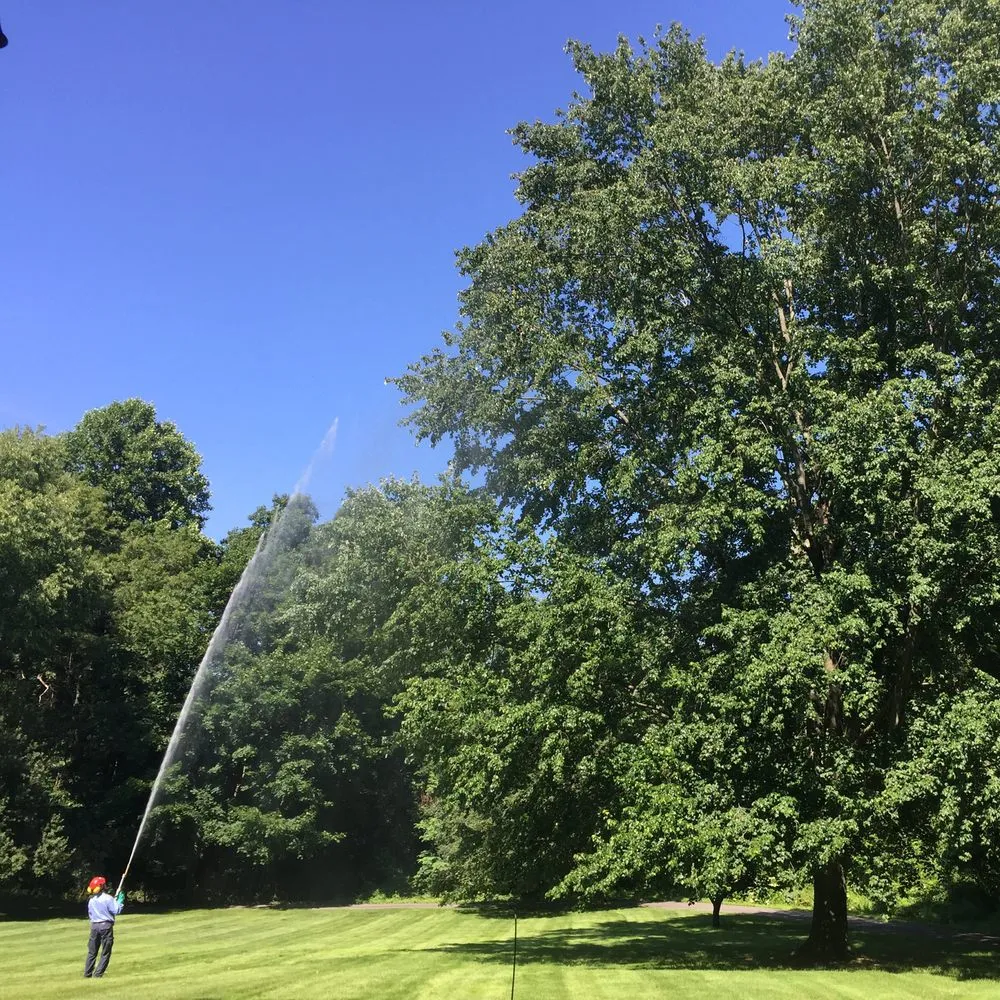 Professional lawn mowing service for residential properties in Oyster Bay, NY by Wonderland Tree Care