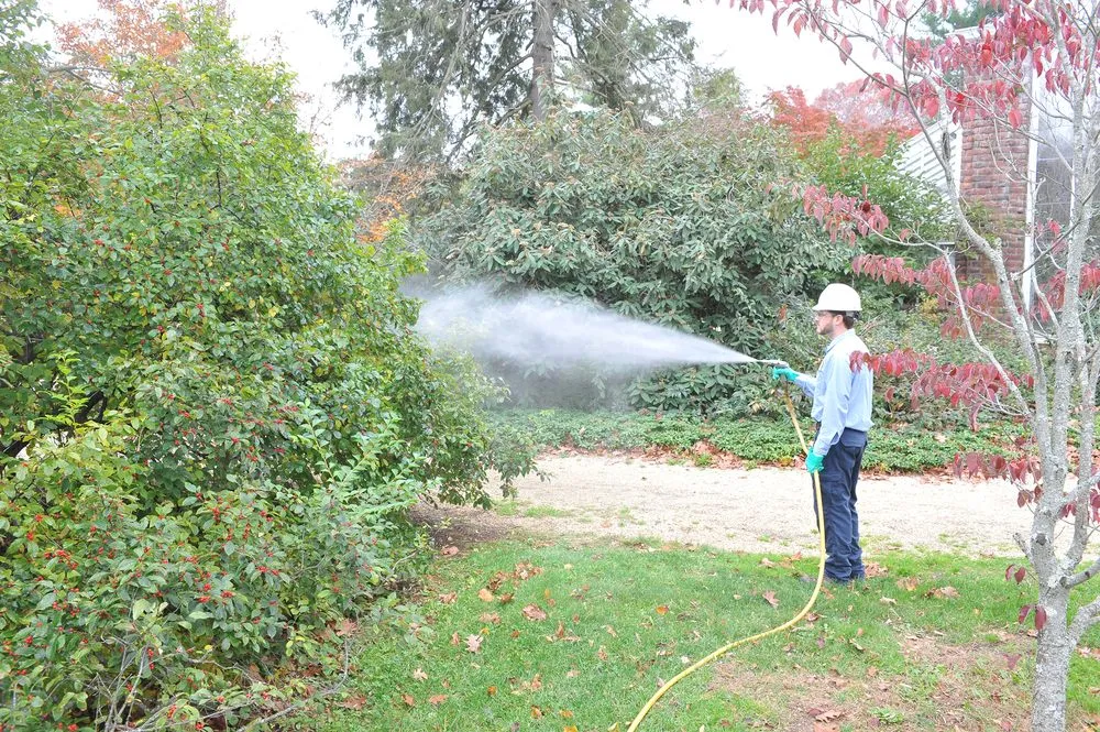 Expert landscaping services experts serving Oyster Bay, NY - Wonderland Tree Care