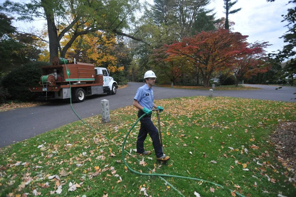 Trusted garden landscaping in Oyster Bay, NY - Wonderland Tree Care