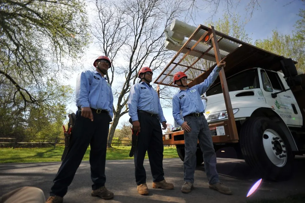 Affordable landscaping services in Oyster Bay, NY by Wonderland Tree Care