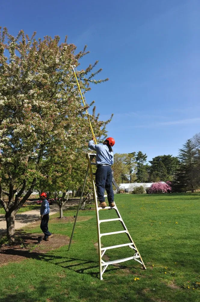 Reliable landscaping services in Oyster Bay, NY by Wonderland Tree Care