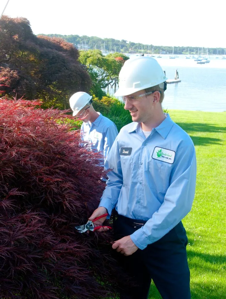 Professional garden landscaping experts serving Oyster Bay, NY - Wonderland Tree Care