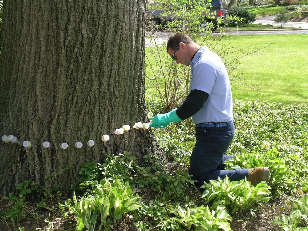 Custom lawn mowing service in Oyster Bay, NY - Wonderland Tree Care